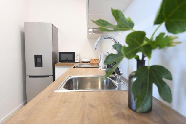 Plazina Apartment *